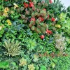 دیوار سبز مصنوعی برای بچه ها